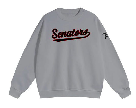 Slightly Oversized Sweatshirts script