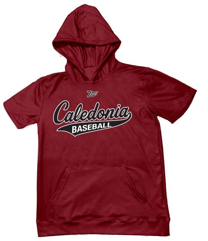 Short Sleeve Hoodie w/logo