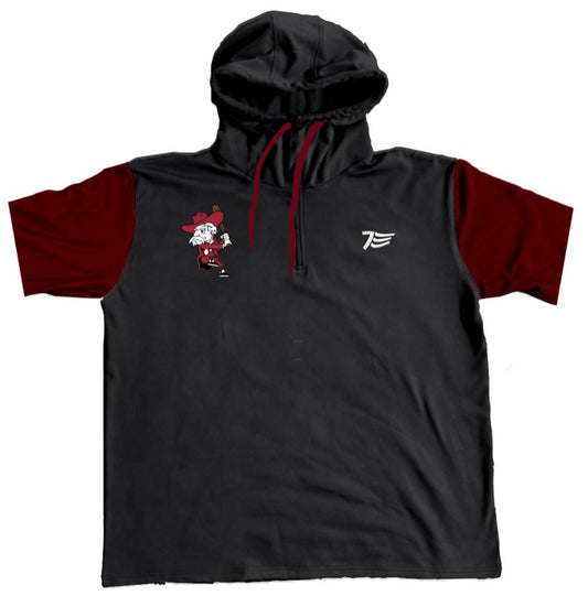 Short Sleeve 1/4 Zip Senator